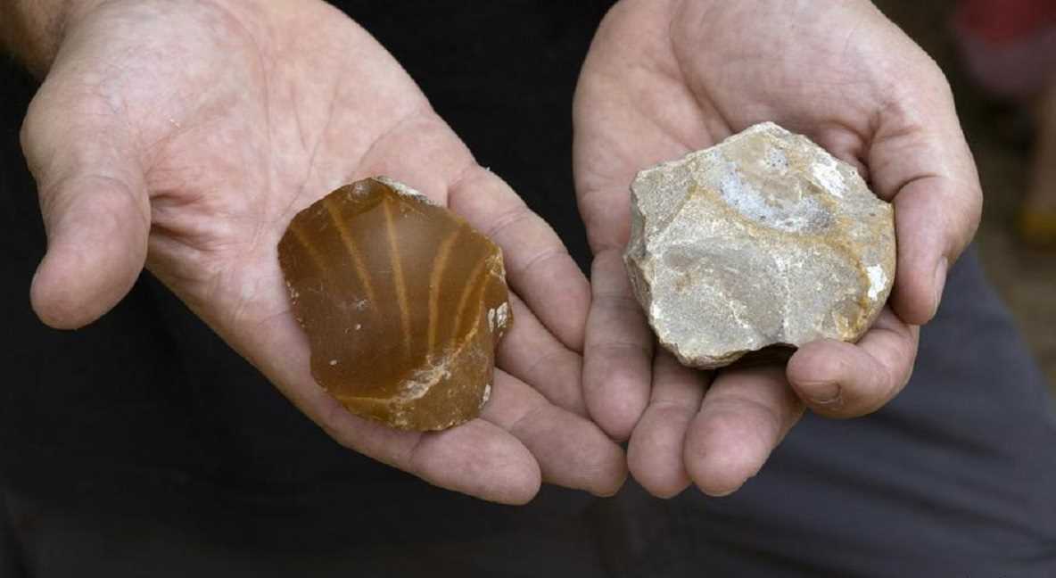 5 लाख साल पुराने दुर्लभ हाथी दांत मिले 5 लाख साल पुराने दुर्लभ हाथी दांत मिले